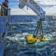 Photo Courtesy Ocean Exploration Trust